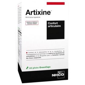 NHCO Artixine - 168 gélules